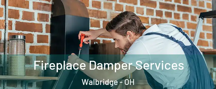 Fireplace Damper Services Walbridge - OH