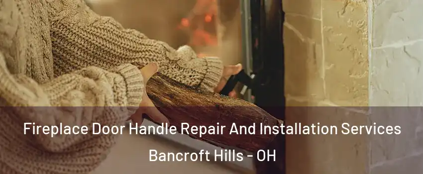 Fireplace Door Handle Repair And Installation Services Bancroft Hills - OH