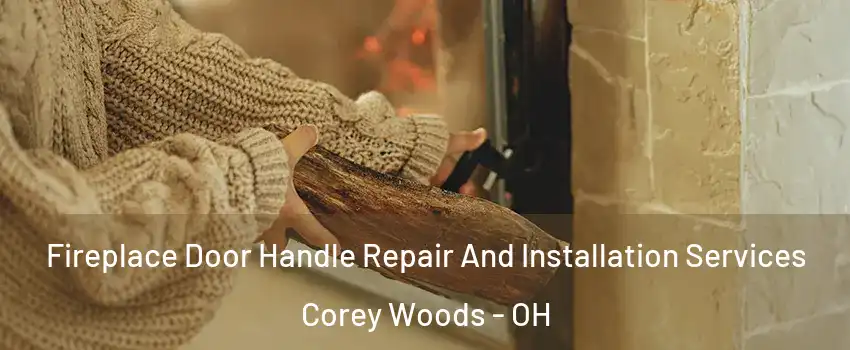 Fireplace Door Handle Repair And Installation Services Corey Woods - OH