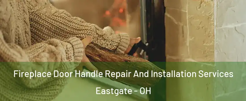 Fireplace Door Handle Repair And Installation Services Eastgate - OH