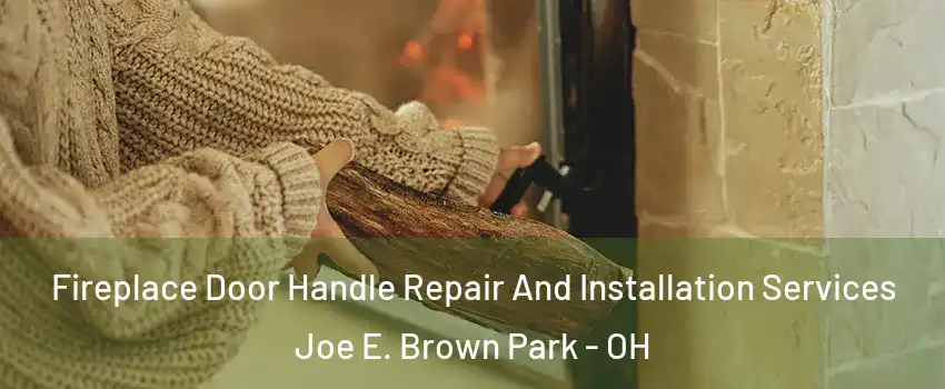 Fireplace Door Handle Repair And Installation Services Joe E. Brown Park - OH