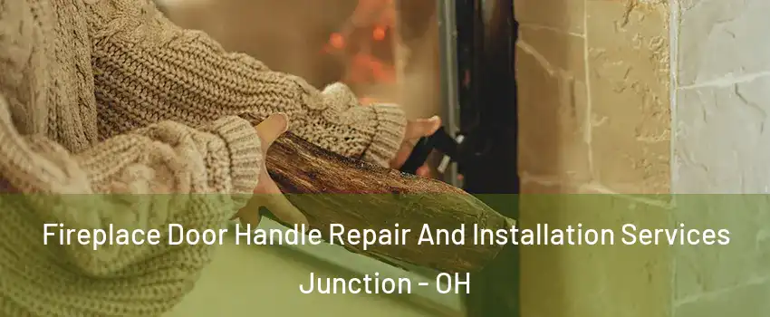 Fireplace Door Handle Repair And Installation Services Junction - OH