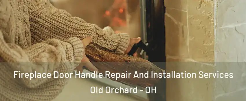 Fireplace Door Handle Repair And Installation Services Old Orchard - OH