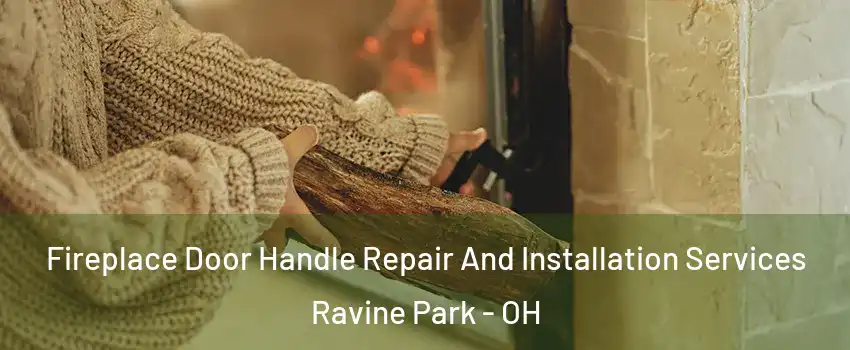Fireplace Door Handle Repair And Installation Services Ravine Park - OH