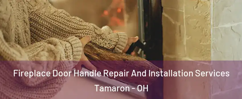 Fireplace Door Handle Repair And Installation Services Tamaron - OH