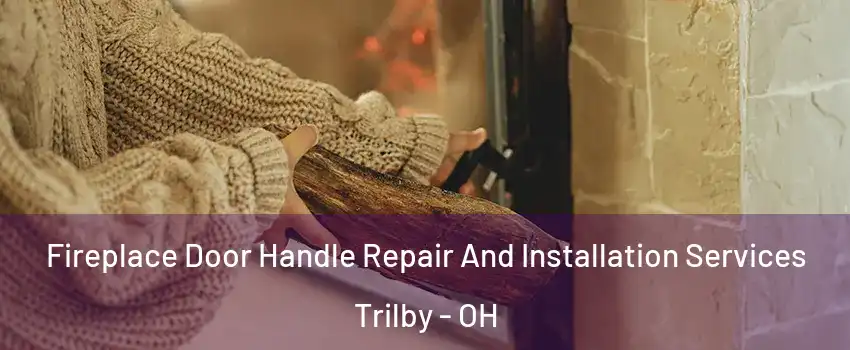 Fireplace Door Handle Repair And Installation Services Trilby - OH