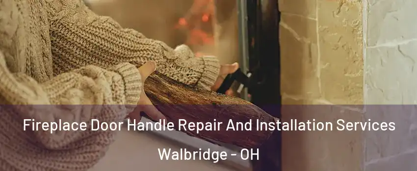 Fireplace Door Handle Repair And Installation Services Walbridge - OH