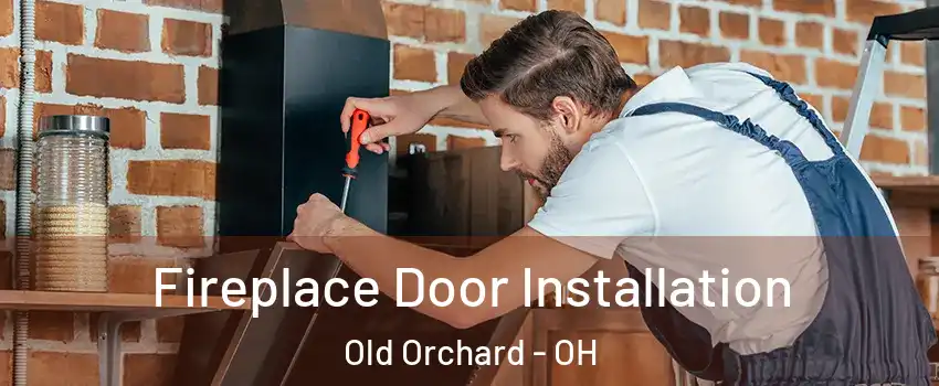 Fireplace Door Installation Old Orchard - OH