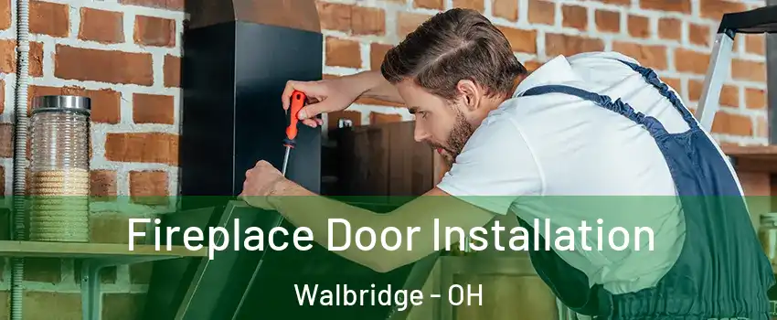 Fireplace Door Installation Walbridge - OH