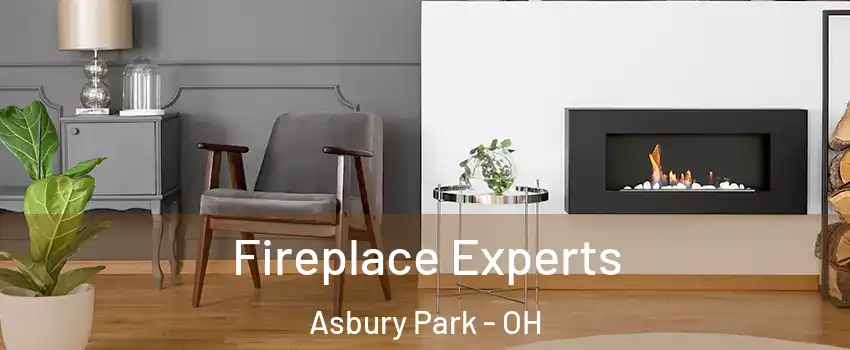 Fireplace Experts Asbury Park - OH
