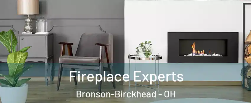 Fireplace Experts Bronson-Birckhead - OH