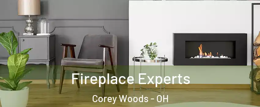 Fireplace Experts Corey Woods - OH