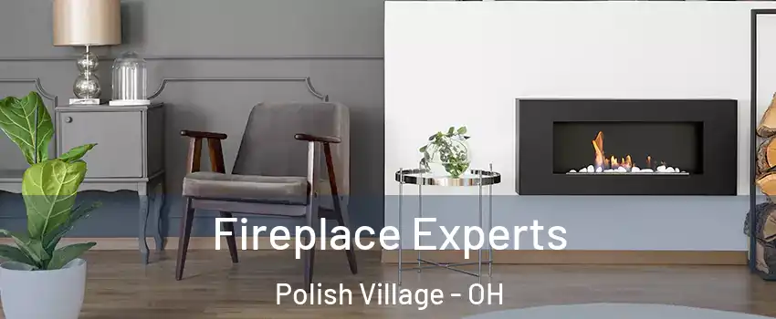Fireplace Experts Polish Village - OH