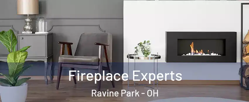 Fireplace Experts Ravine Park - OH