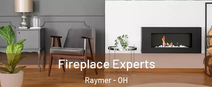 Fireplace Experts Raymer - OH