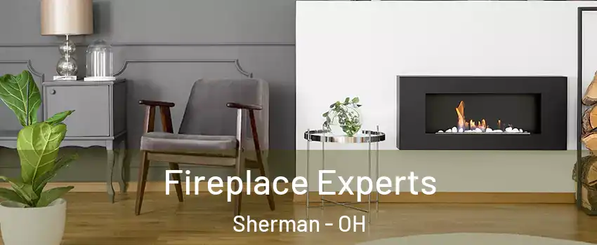 Fireplace Experts Sherman - OH