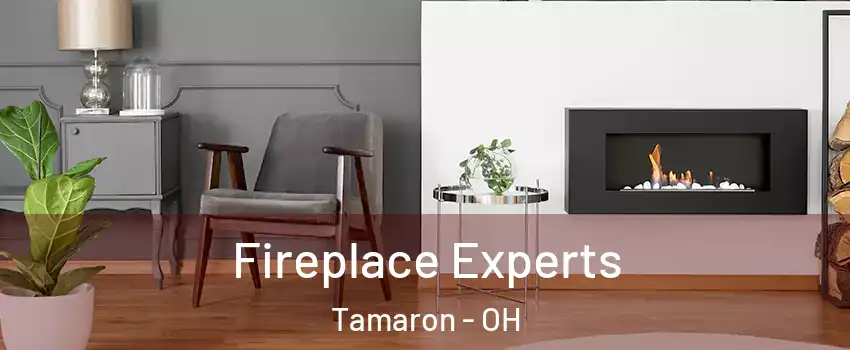 Fireplace Experts Tamaron - OH