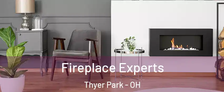 Fireplace Experts Thyer Park - OH