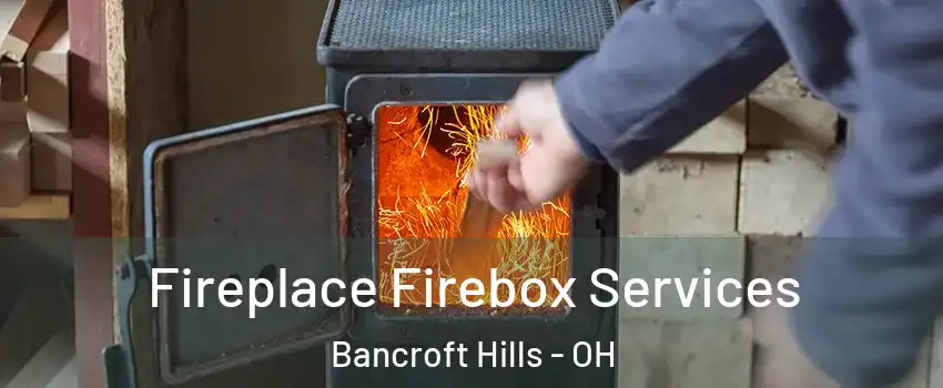 Fireplace Firebox Services Bancroft Hills - OH