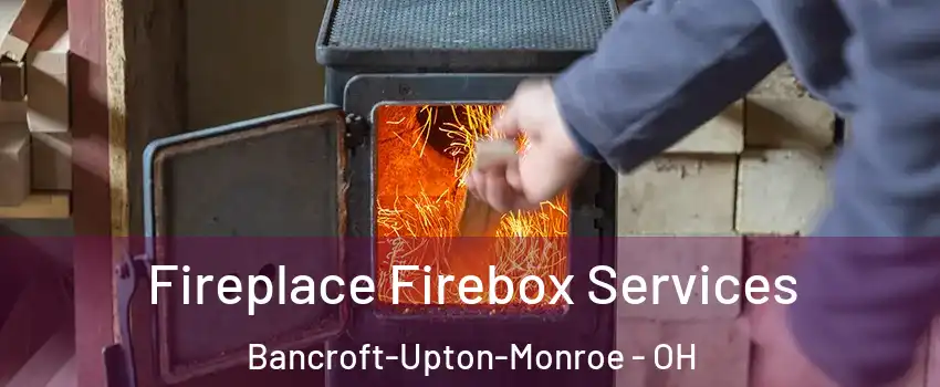 Fireplace Firebox Services Bancroft-Upton-Monroe - OH