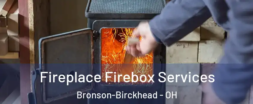 Fireplace Firebox Services Bronson-Birckhead - OH