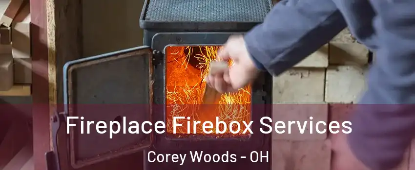 Fireplace Firebox Services Corey Woods - OH