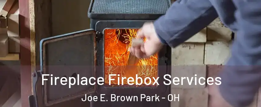 Fireplace Firebox Services Joe E. Brown Park - OH