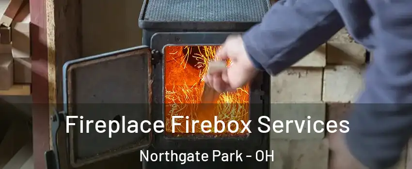 Fireplace Firebox Services Northgate Park - OH
