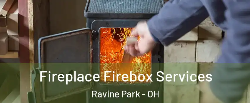 Fireplace Firebox Services Ravine Park - OH
