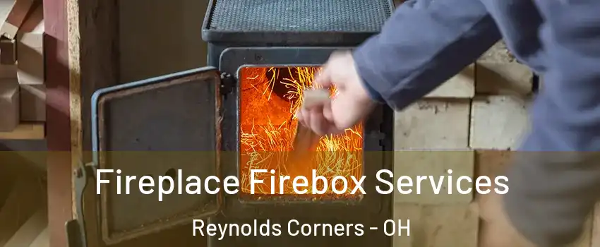 Fireplace Firebox Services Reynolds Corners - OH