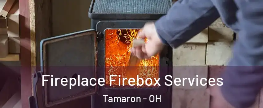 Fireplace Firebox Services Tamaron - OH