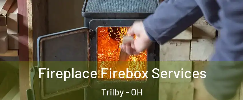 Fireplace Firebox Services Trilby - OH