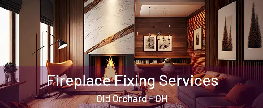 Fireplace Fixing Services Old Orchard - OH