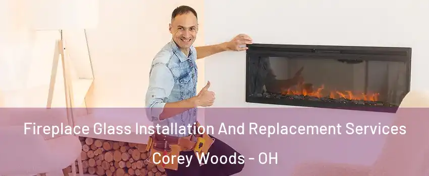 Fireplace Glass Installation And Replacement Services Corey Woods - OH