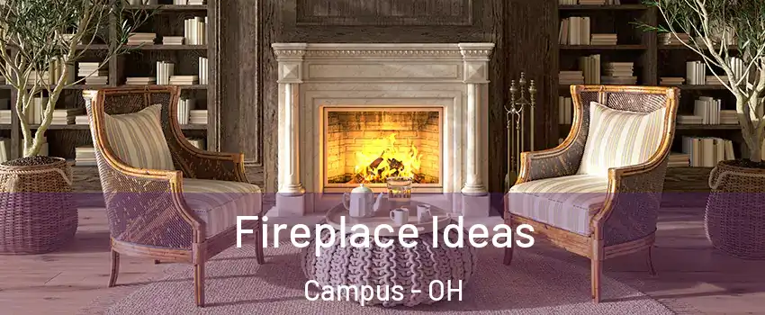 Fireplace Ideas Campus - OH