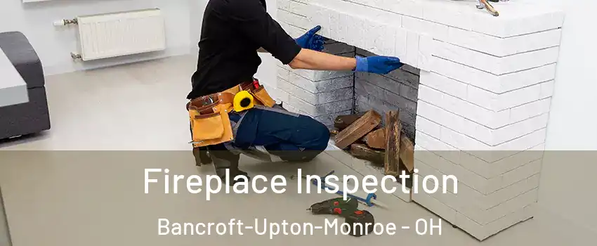 Fireplace Inspection Bancroft-Upton-Monroe - OH