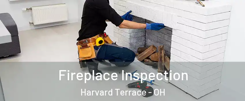 Fireplace Inspection Harvard Terrace - OH
