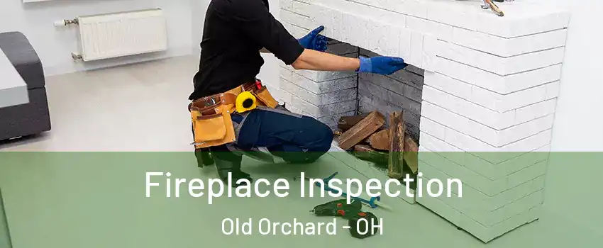 Fireplace Inspection Old Orchard - OH