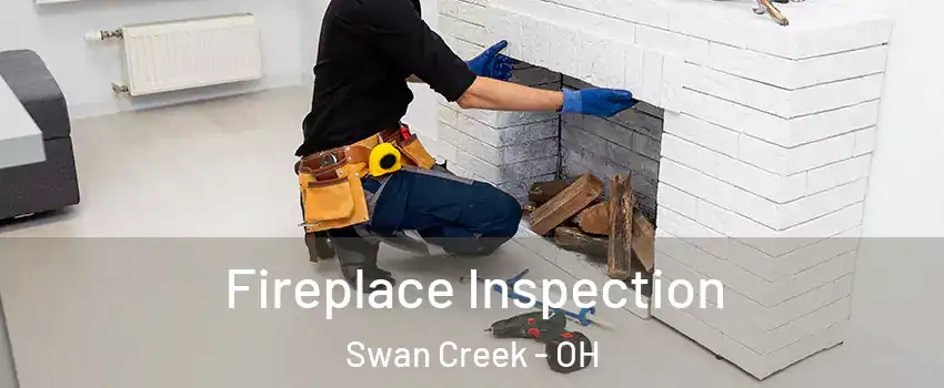 Fireplace Inspection Swan Creek - OH