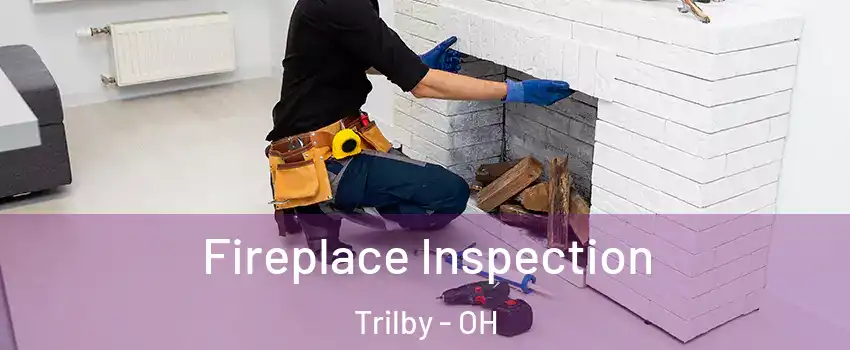 Fireplace Inspection Trilby - OH
