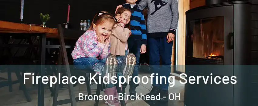 Fireplace Kidsproofing Services Bronson-Birckhead - OH
