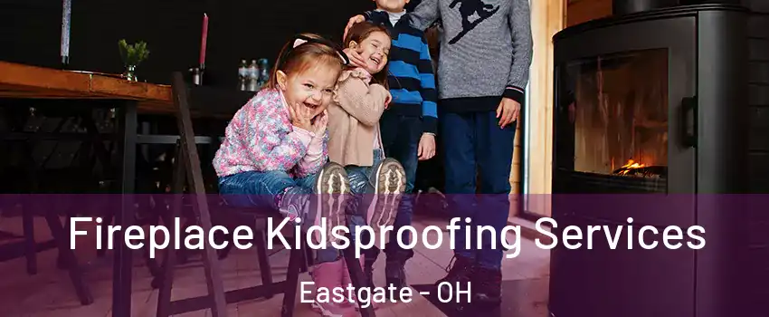 Fireplace Kidsproofing Services Eastgate - OH