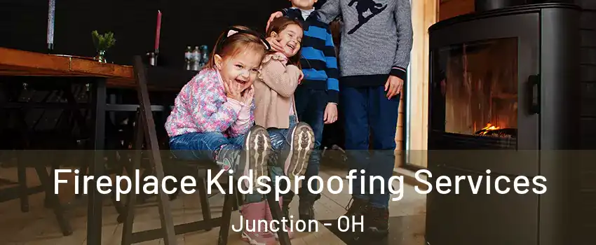 Fireplace Kidsproofing Services Junction - OH