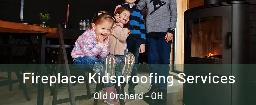 Fireplace Kidsproofing Services Old Orchard - OH