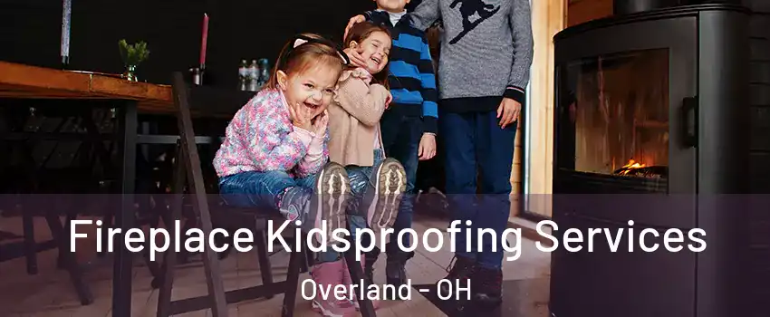 Fireplace Kidsproofing Services Overland - OH