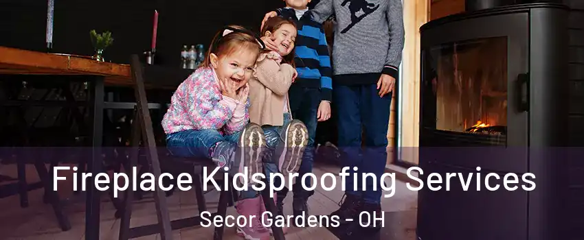 Fireplace Kidsproofing Services Secor Gardens - OH