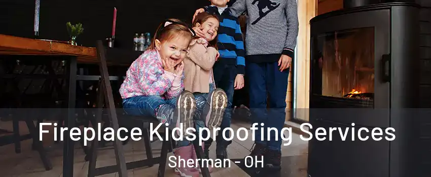 Fireplace Kidsproofing Services Sherman - OH