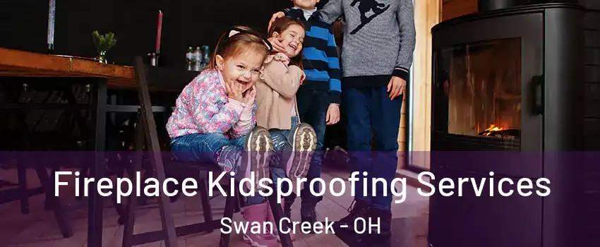 Fireplace Kidsproofing Services Swan Creek - OH