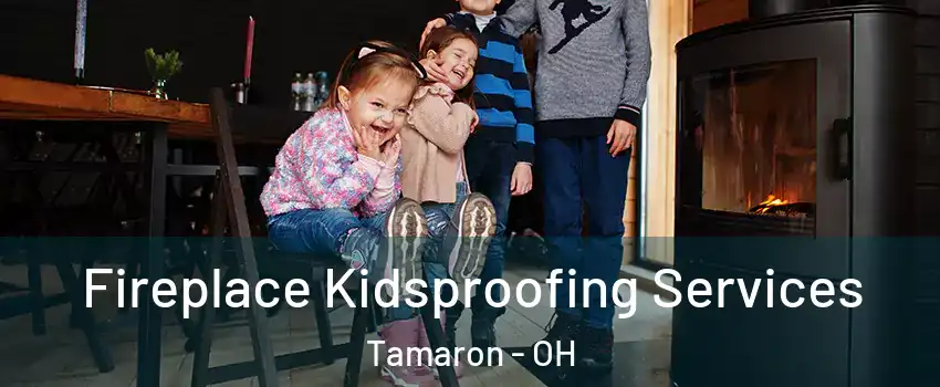 Fireplace Kidsproofing Services Tamaron - OH
