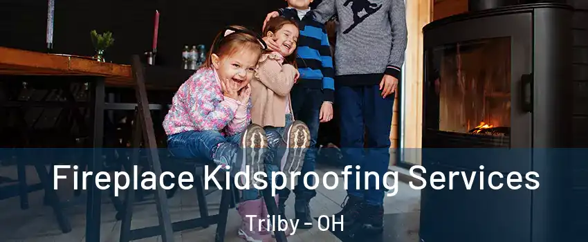 Fireplace Kidsproofing Services Trilby - OH